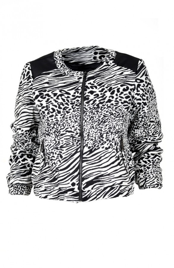 Zebra-Jacket