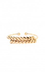 Ring-Feather-Goud-1