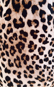 Leopard-Slip-Dress-Jersey